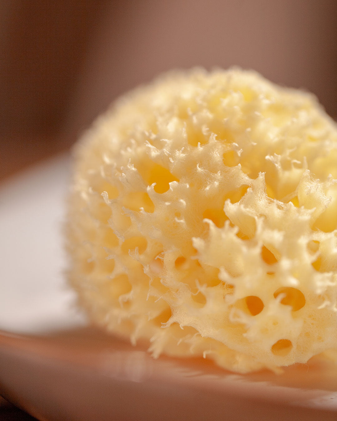 Éponge de mer naturelle-Accessoires-Najel