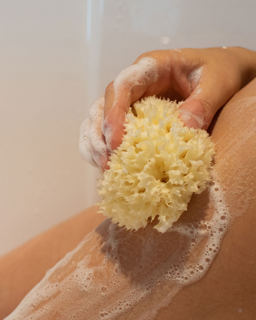 Éponge de mer naturelle-Accessoires-Najel