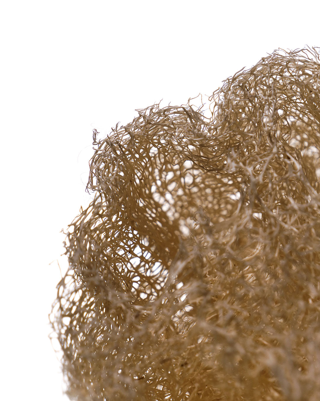 Loofah brut-Accessoires-Najel