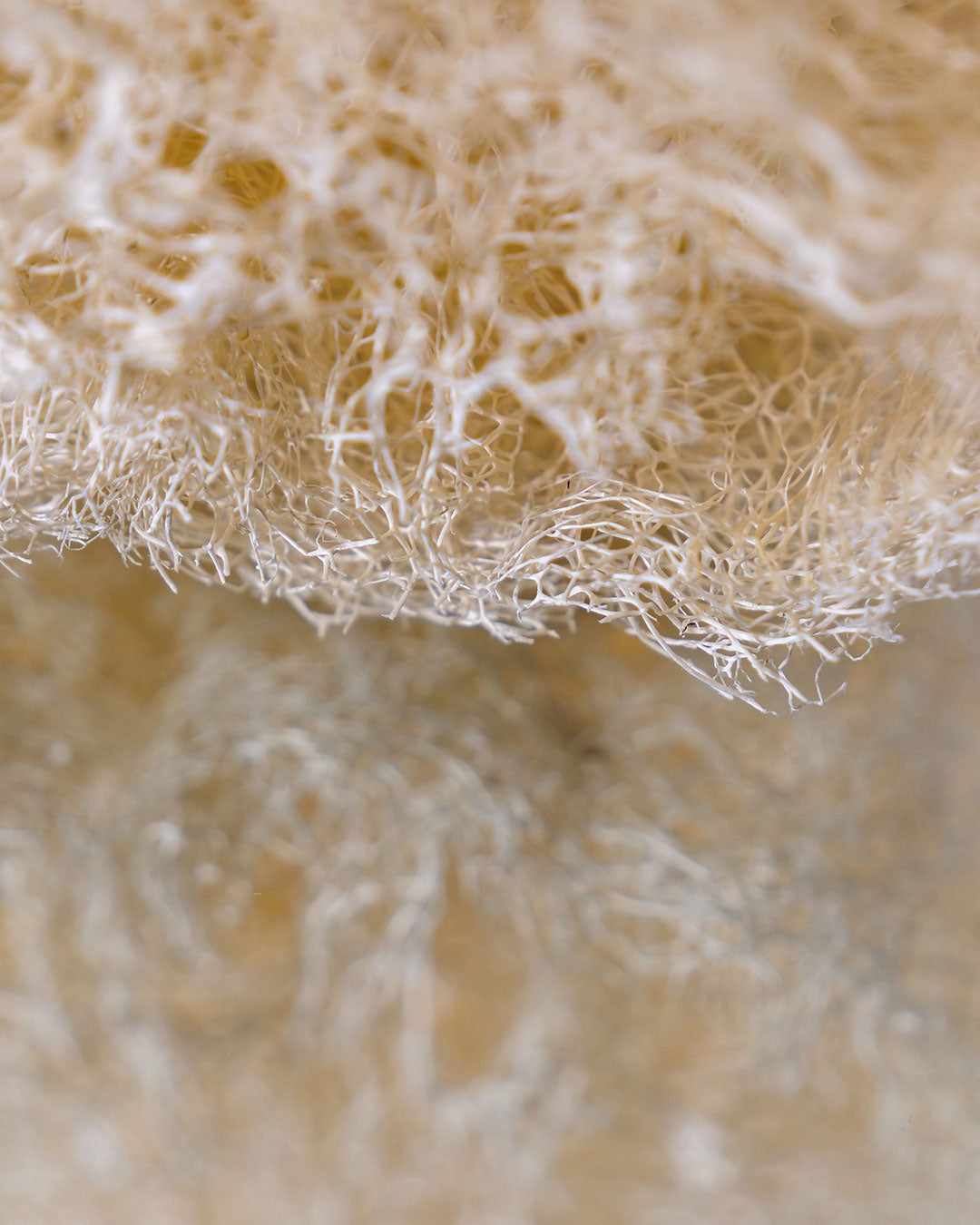 Loofah brut-Accessoires-Najel