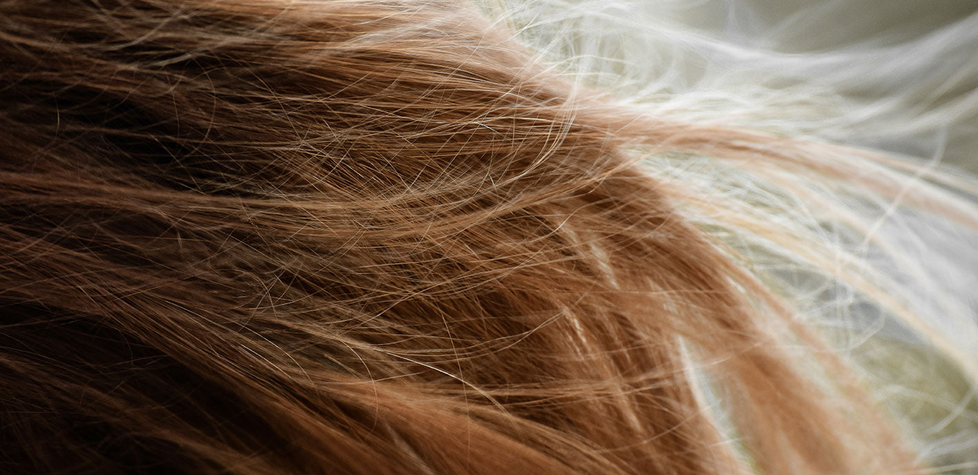 Quelle routine adopter pour nourrir les cheveux secs ?-Najel