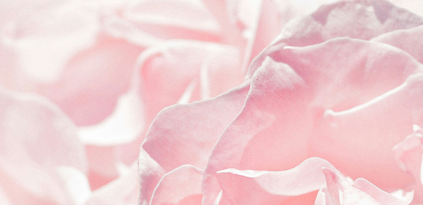 Une routine beauté à la rose