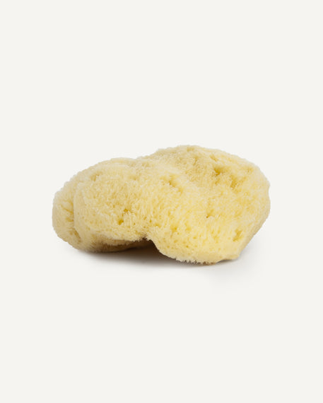 Éponge de mer naturelle-Accessoires-Najel