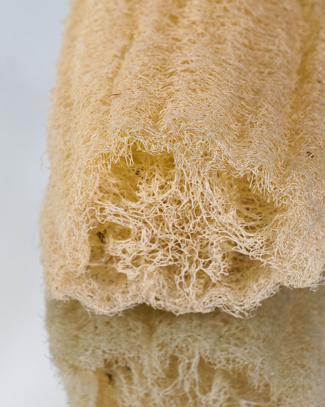 Loofah brut